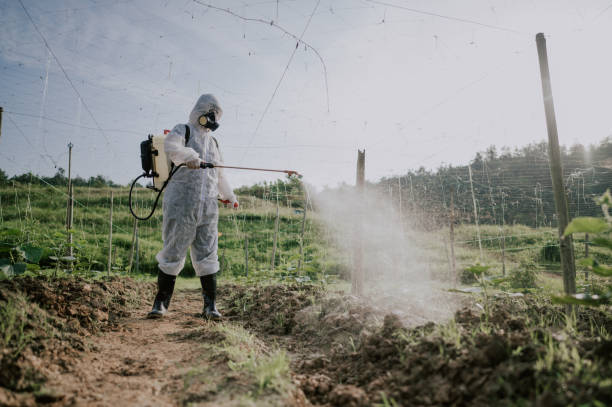 Best Best Pest Control Companies  in Burwell, NE