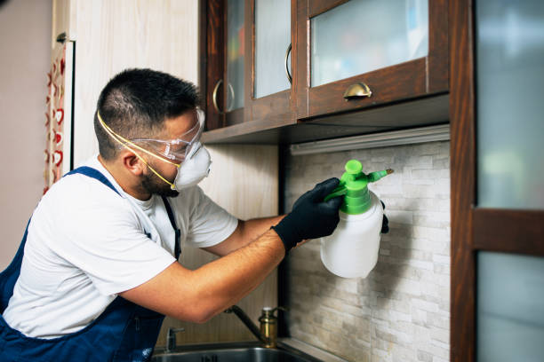 Best Cockroach Control Services  in Burwell, NE