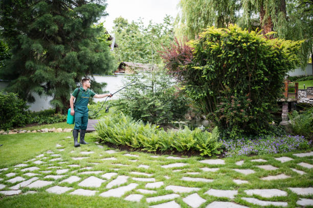 Best Exterminator Services  in Burwell, NE