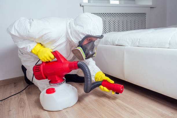 Best Emergency Pest Control  in Burwell, NE
