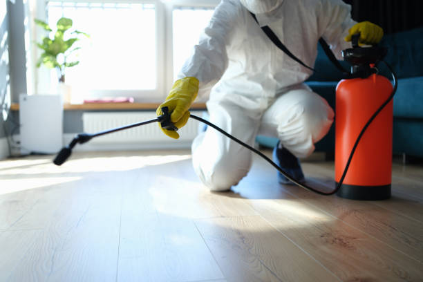 Professional Pest Control in Burwell, NE