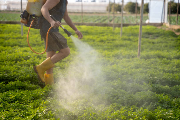 Pest Prevention Services in Burwell, NE