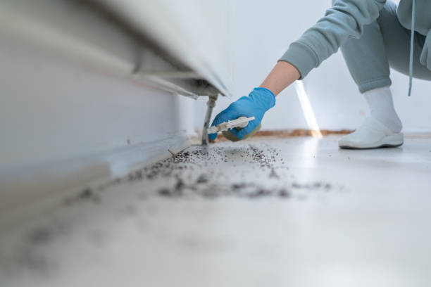 Pest Control Cost in Burwell, NE