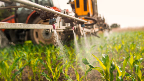 Best Best Pest Control Companies  in Burwell, NE